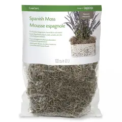 FloraCraft Spanish Moss 4oz-Natural