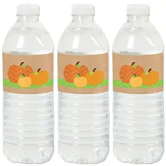Big Dot of Happiness Pumpkin Patch - Fall, Halloween or Thanksgiving Party Water Bottle Sticker Labels - Set of 20