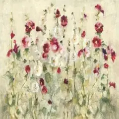 Hollyhocks Row Cool Poster Print by Cheri Blum - Item # VARPDX18509
