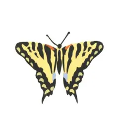 Tiger Swallow Tail Butterfly Wall Stencil | 2687 by Designer Stencils | Animal & Nature Stencils | Reusable Art Craft Stencils for Painting on Walls, Canvas, Wood | Reusable Plastic Paint Stencil for Home Makeover | Easy to Use & Clean Art Stencil