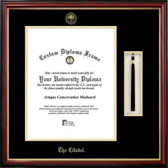 The Citadel 16w x 20h Tassel Box and Diploma Frame