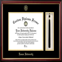 Lamar University 14w x 11h Tassel Box and Diploma Frame