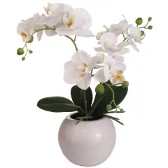 Elegant 18" White Phalaenopsis Orchid Arrangement in Ceramic Vase - Upgrade Your Home Decor, Floral Home by Artificial Flowers