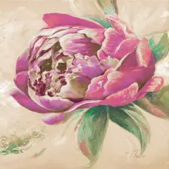 Beautiful Bouquet of Peonies in Pink II Poster Print by Patricia Pinto - Item # VARPDX10120A
