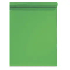 Seamless Background Paper - 53" x 36 ft, Stinger Green