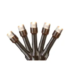 Northlight Battery Operated LED Wide Angle Christmas Lights - Warm White - 9.5' Brown Wire - 20ct Clear