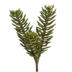 6-Pack: Real Touch Sedum Succulent Spray, 8" Wide, Floral Home by Artificial Flowers