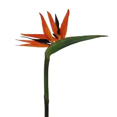 6-Pack: Orange Bird of Paradise Stem with Silk Flowers by Floral Home&reg;