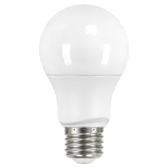6w A19 LED 480Lm 5000K Natural Light Non-Dimmable Bulb - 40w Equiv