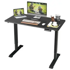Electric Computer Standing Desk with Height Adjustable and Cable Management Hole Black
