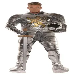 Knight in Shining Armor Adult Costume