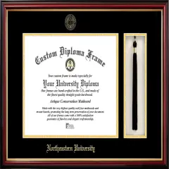 Northeastern University 14w x 11h Tassel Box and Diploma Frame