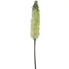 Green Foxtail Spray - 6-Pack, Silk Flowers, Lifelike Greenery, Ideal for Floral Arrangements, Home & Event D&eacute;cor - Perfect for All Seasons, Floral Home by Artificial Flowers