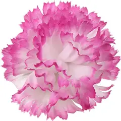 100-Pack: White & Pink Carnation Picks, 5" Long, 3.5" Wide by Floral Home&reg;