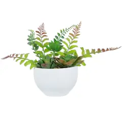 Northlight Potted Artificial Mixed Succulent Fern Plant - 11.5" Green
