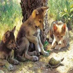 Sunsout The Shell Game 500 pc Jigsaw Puzzle 55020