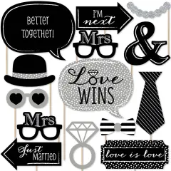 Big Dot of Happiness Mrs. & Mrs. - Silver - Lesbian Wedding Photo Booth Props Kit - 20 Count