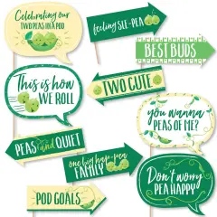 Big Dot of Happiness Funny Double the Fun - Twins Two Peas in a Pod - Baby Shower or First Birthday Party Photo Booth Props Kit - 10 Piece
