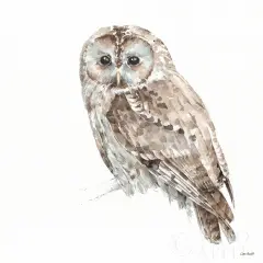 Forest Friends IX Poster Print by Lisa Audit - Item # VARPDX42026