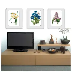 Wexel Art Single Panel Acrylic Display Frame - 21" x 27", Silver Hardware