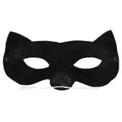 Black Cat Eye Mask With Whiskers Costume Accessory