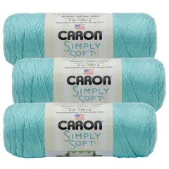 (Pack of 3) Caron Simply Soft Solids Yarn-Robin's Egg