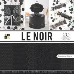 DCWV Single-Sided Cardstock Stack 12"X12" 20/Pkg-Le Noir, 10 Des/2 Each, 12 W/UV Gloss