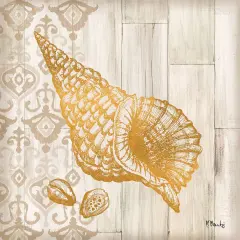 Saint Tropez Shells I Poster Print by Paul Brent - Item # VARPDXBNT1366