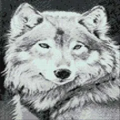 Grey Wolf WD086 10.6 x 14.9 inches Wizardi Diamond Painting Kit