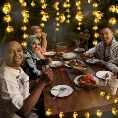 $product['description']['title']}