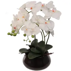 15-Inch Phalaenopsis Orchid - Elegant White Blooms, Home Decor, Perfect for Tabletops & Gifts - All-Season Elegance, Floral Home by Artificial Flowers