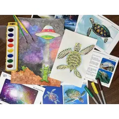 CA: Sea Turtle & Space Alien