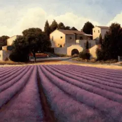 Lavender Fields I Poster Print by James Wiens - Item # VARPDX10472