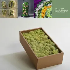 Moss Preserved Lime Green for Fairy Gardens Terrariums, Craft, DIY, Floral, 500g