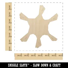 Pinata Solid Party Unfinished Wood Shape Piece Cutout for DIY Craft Projects