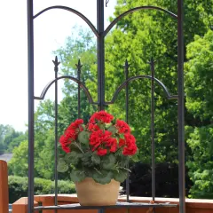 18" Red Geranium Flower Bush - Lifelike Artificial Blooms, Perfect for Home, Garden & Patio D&eacute;cor - Spring & Summer Accent, Floral Home by Artificial Flowers