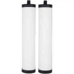 Doulton W9223021 UltraCarb Ceramic Water Filter Candle, White, Pack of 2