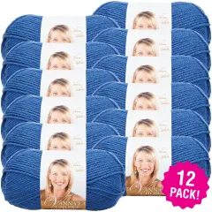 (12 Pack) Lion Brand Vanna's Choice Yarn - Colonial Blue
