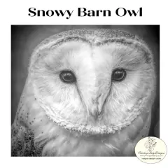 Snowy Barn Owl -Decoupage & Mixed Media Art Paper