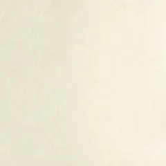 Ranger Embossing Powder