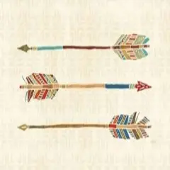 Southwest at Heart VIII Poster Print by Veronique Charron - Item # VARPDX20017