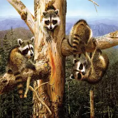 Sunsout Balancing Act 300 pc Jigsaw Puzzle 17606