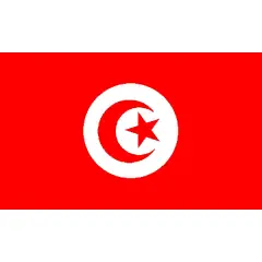 Tunisia Flag with Grommets 3ft x 5ft