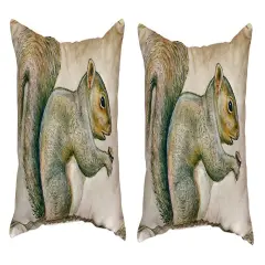 Pair of Betsy Drake Squirrel No Cord Pillows 15 Inch X 22 Inch