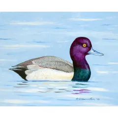 Betsy Drake Lesser Scaup Place Mat Set of 4