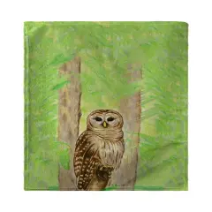 Betsy Drake Owl Beach Towel