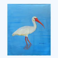 Betsy Drake Posing White Ibis Throw Multicolor