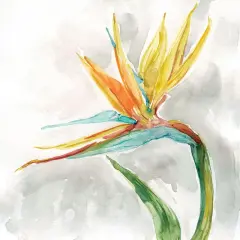 Bird of Paradise II by Carol Robinson - Item # VARPDX40540