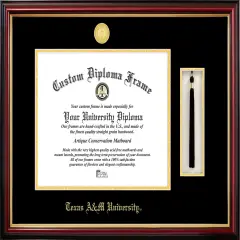 Texas A&M University 16w x 12.5h Tassel Box and Diploma Frame