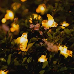 Perfect Holiday LED Solar String Lights - Bee Design